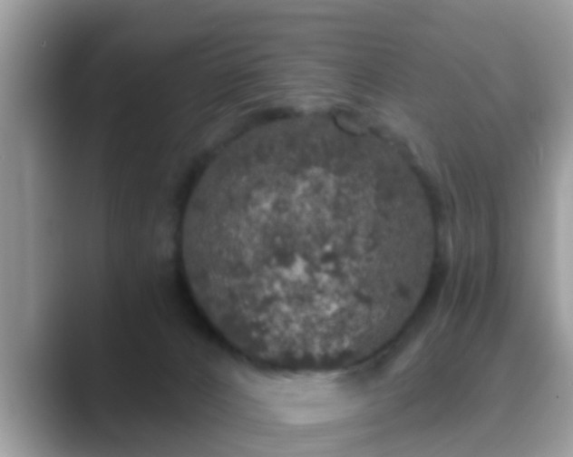 X0000089880032200707051218