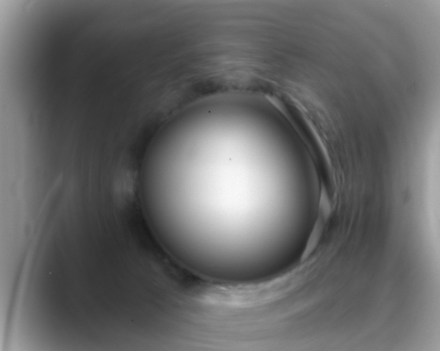 X0000089880033200707051218