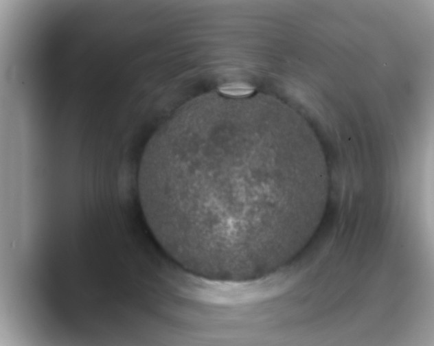 X0000089880034200707051218