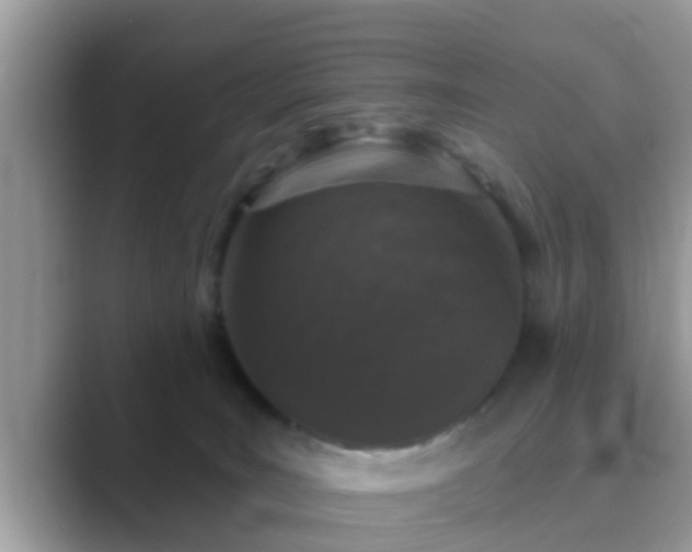 X0000089880035200707051218