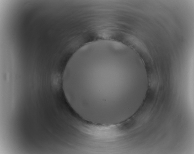 X0000089880036200707051218