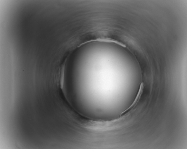 X0000089880037200707051218