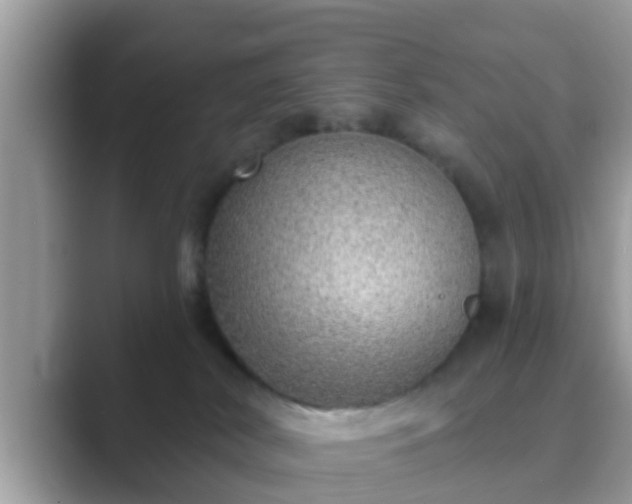 X0000089880038200707051218