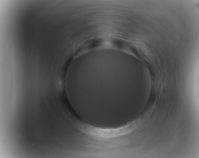 X0000089880039200707051218