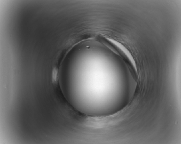 X0000089880041200707051218