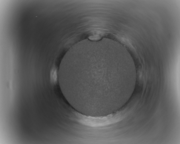 X0000089880042200707051218