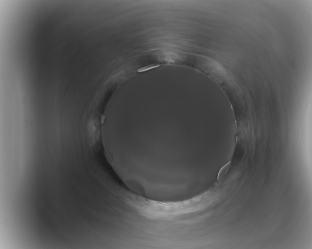 X0000089880043200707051218