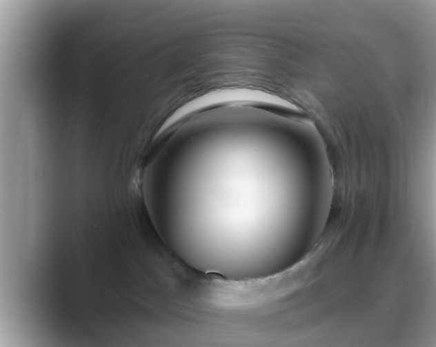 X0000089880045200707051218