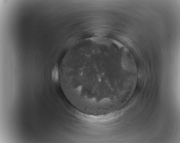 X0000089880046200707051218