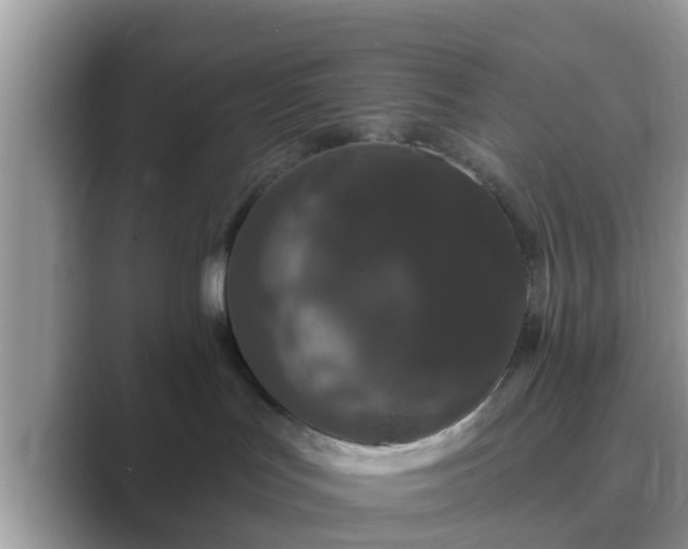 X0000089880047200707051218