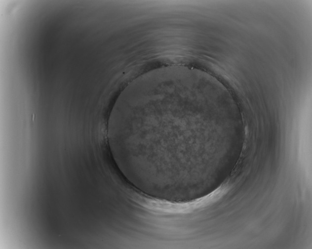 X0000089880048200707051218