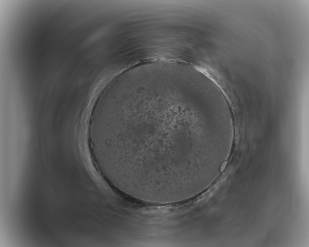 X0000089880049200707051217