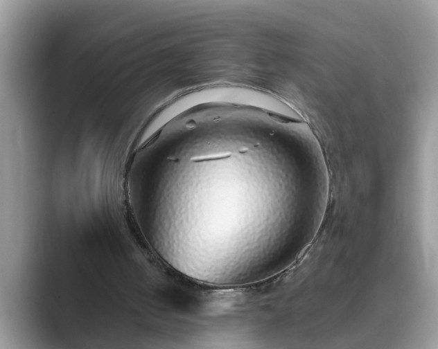 X0000089880050200707051217