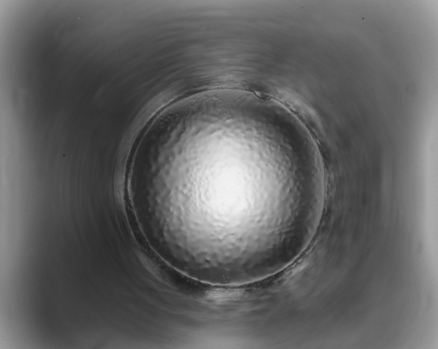 X0000089880051200707051217