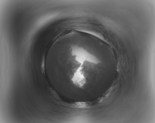 X0000089880052200707051217