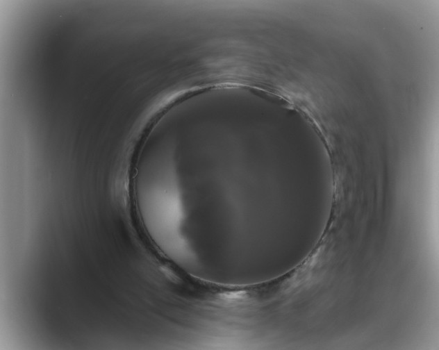 X0000089880054200707051217