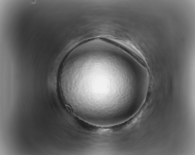 X0000089880055200707051217