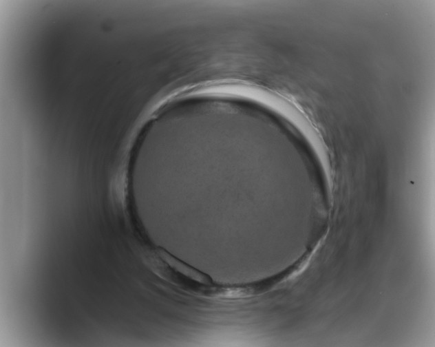 X0000089880056200707051217