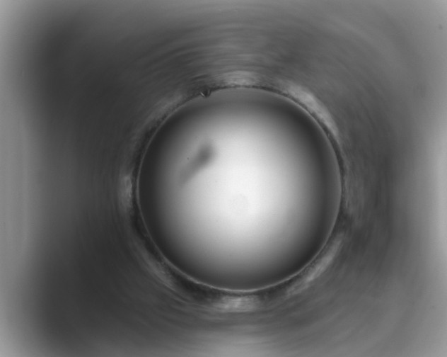 X0000089880057200707051217