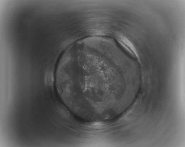 X0000089880059200707051217