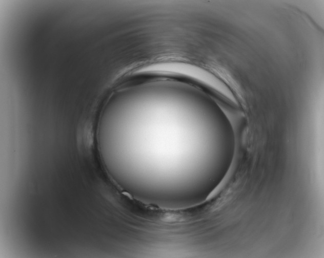 X0000089880060200707051217