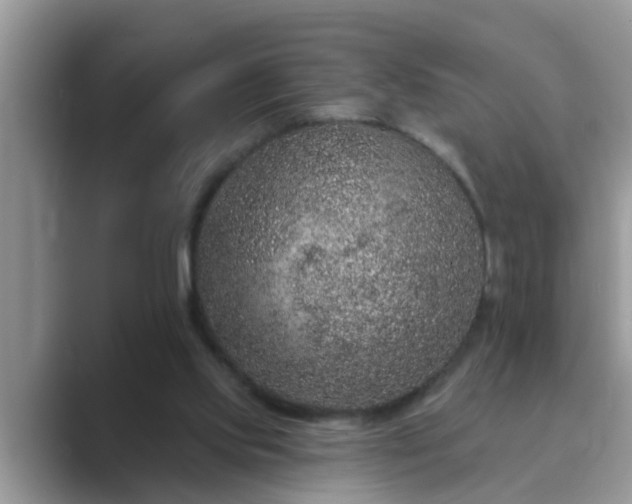 X0000089880061200707051218