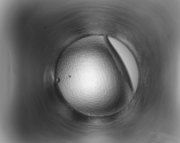 X0000089880062200707051218