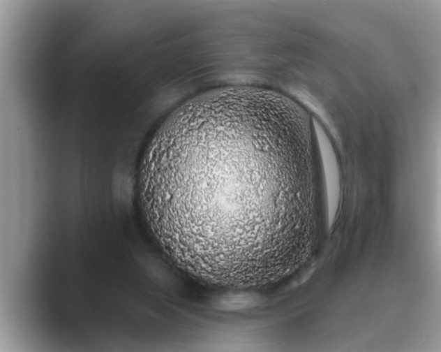 X0000089880063200707051218