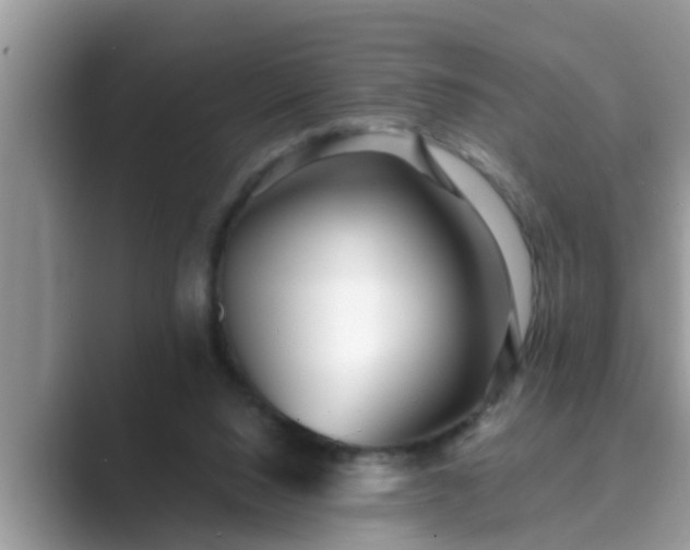 X0000089880064200707051218