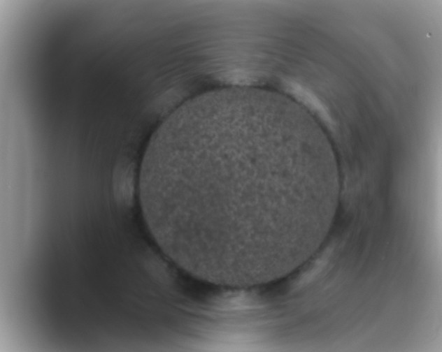 X0000089880065200707051218