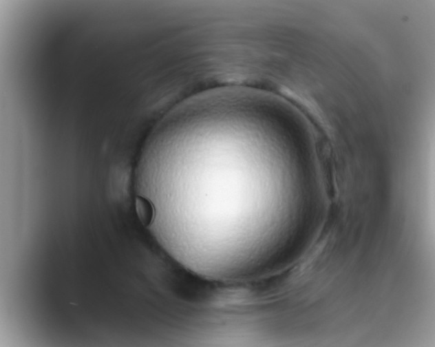 X0000089880066200707051218