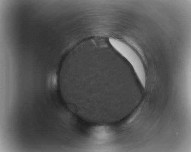 X0000089880067200707051218