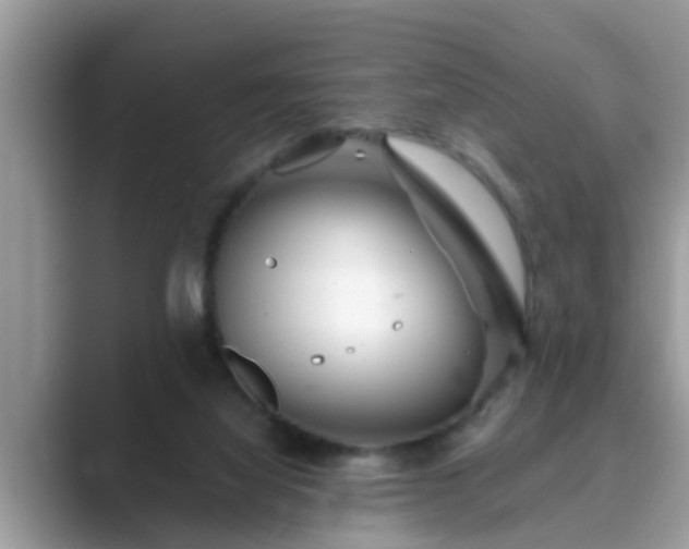 X0000089880068200707051218