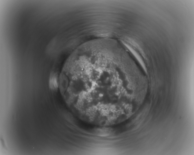 X0000089880069200707051218