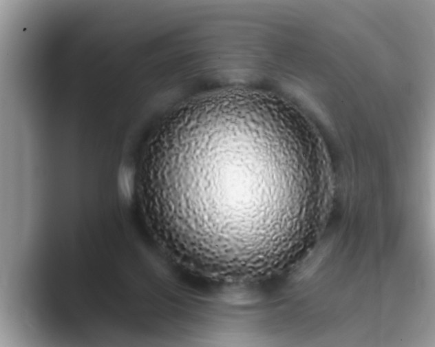 X0000089880070200707051218