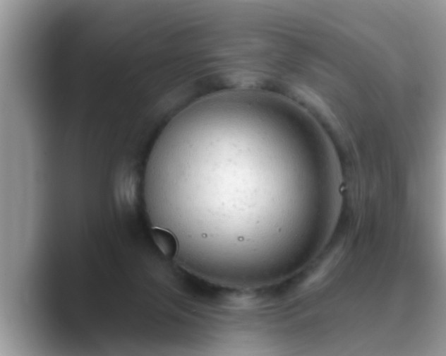 X0000089880071200707051218