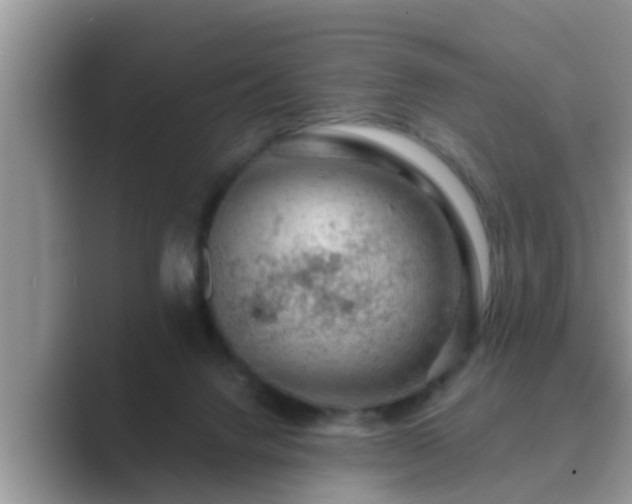 X0000089880072200707051218