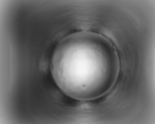 X0000089880073200707051218