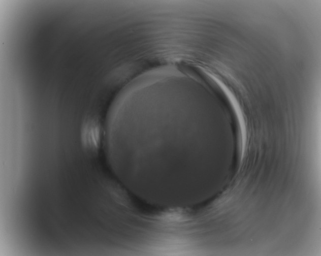 X0000089880076200707051218