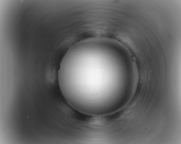 X0000089880077200707051218