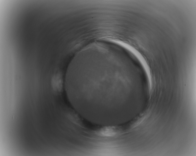 X0000089880080200707051218