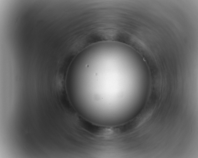 X0000089880083200707051218