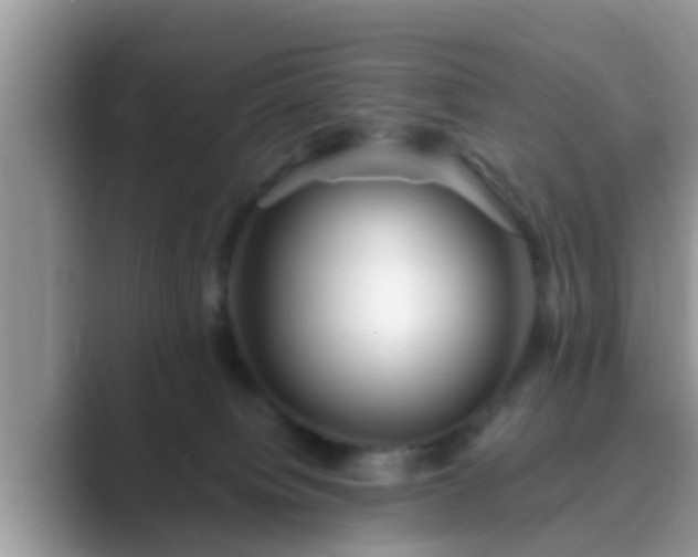 X0000089880084200707051218