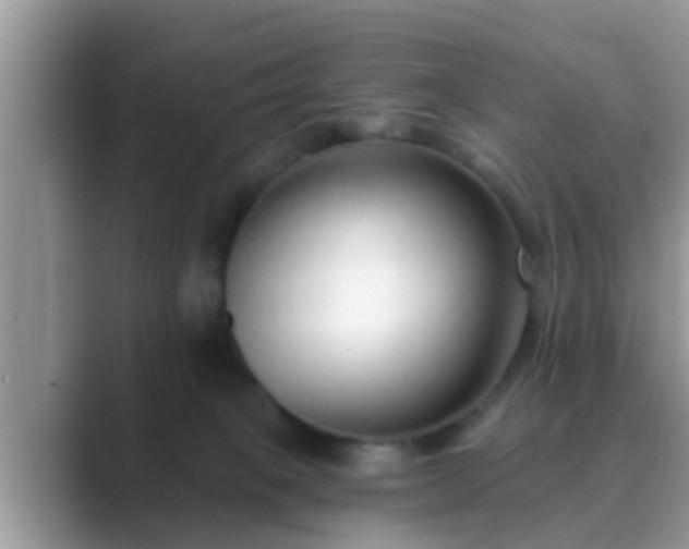 X0000089880085200707051218