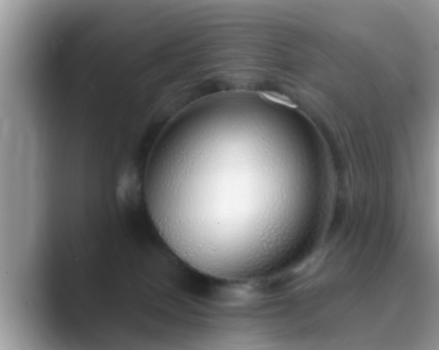 X0000089880086200707051218