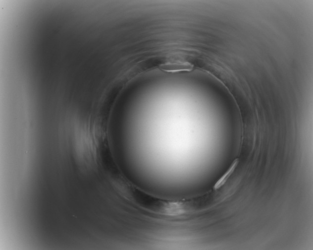 X0000089880091200707051218