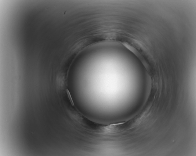 X0000089880092200707051218