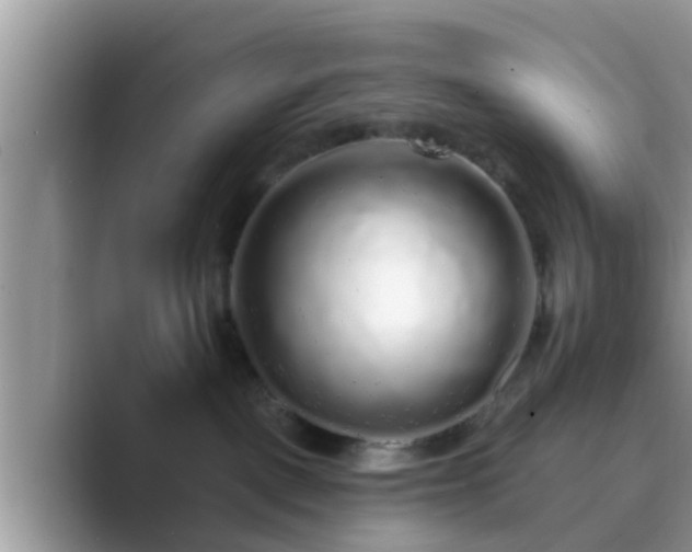 X0000089880093200707051218