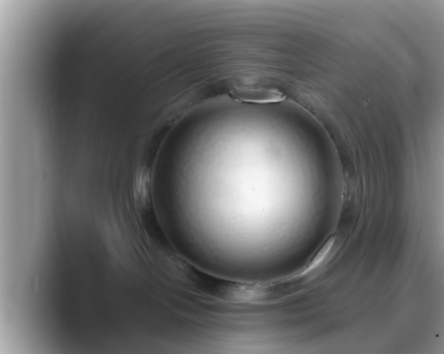 X0000089880094200707051218