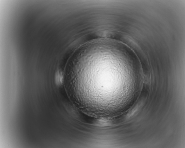 X0000089880095200707051218